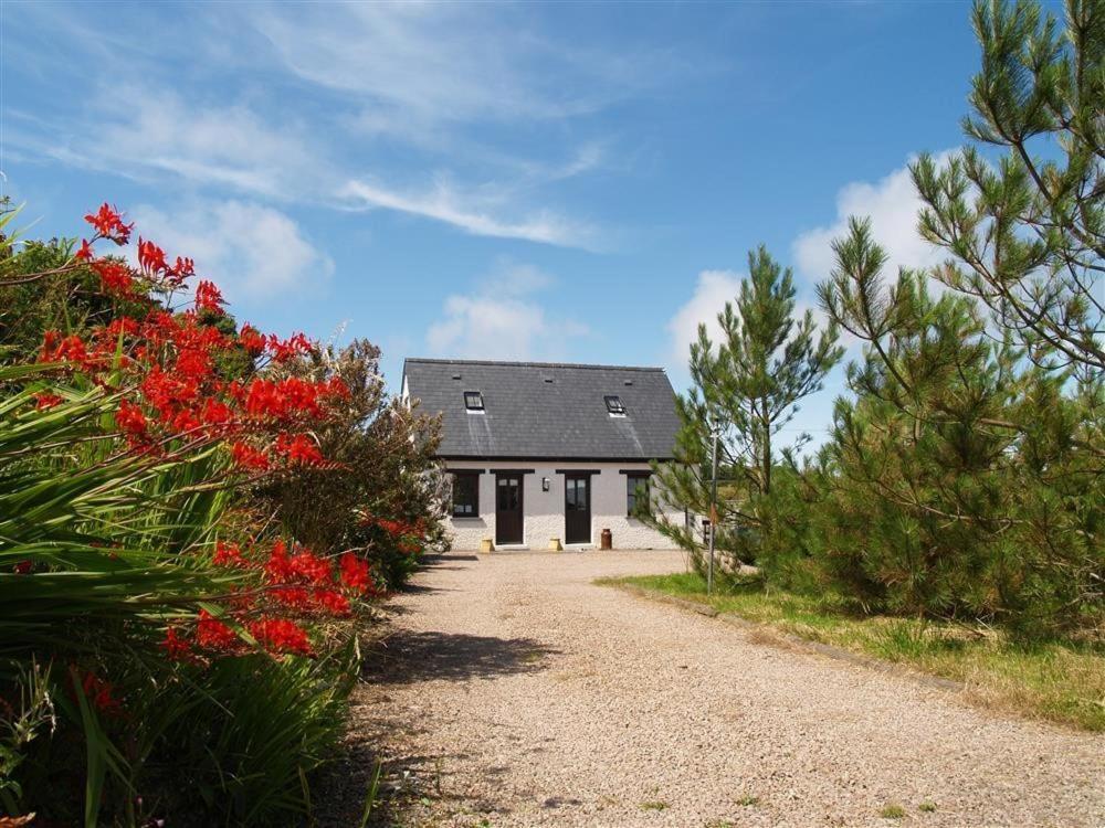 Cockshead Cottage Saint Dogmaels Exterior foto